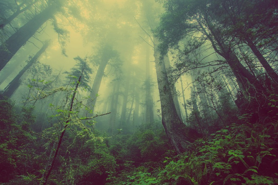​The challenges of a Latin America confronted with climate change