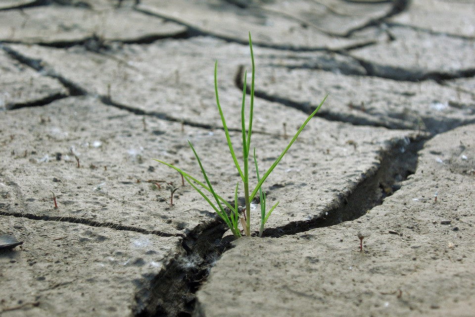 Droughts: what we know and what we need to know to manage the risks