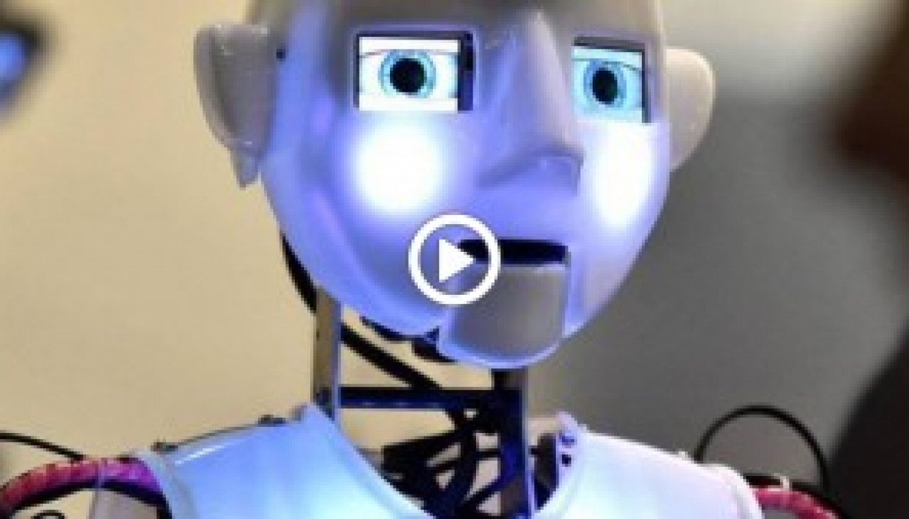 Video robots 1